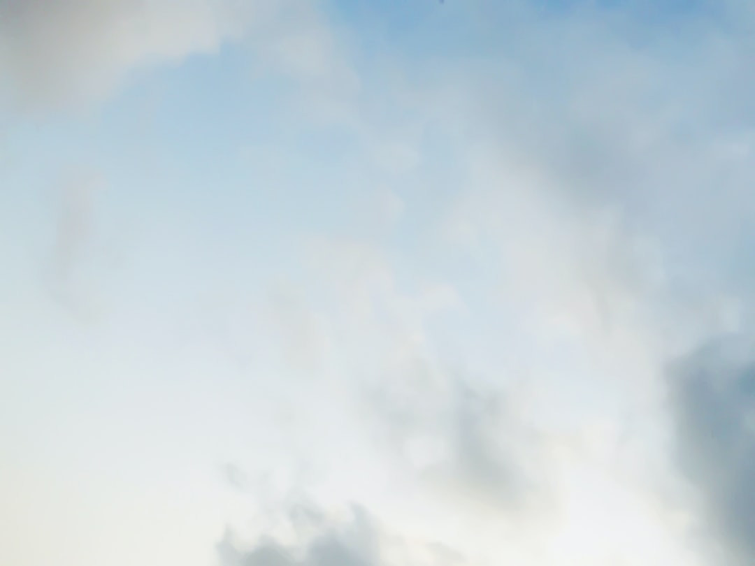 Air-fried peanut butter sandwiches on a plate.