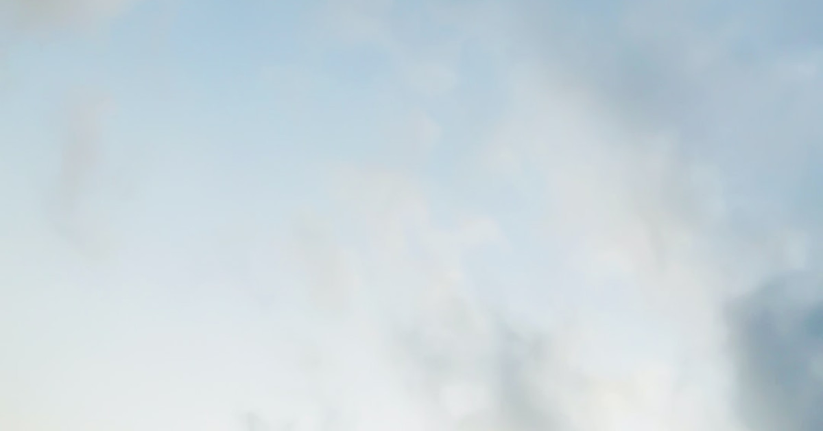 Air-fried peanut butter sandwiches on a plate.