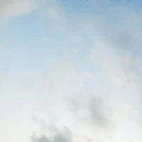 Air-fried peanut butter sandwiches on a plate. Air-fried peanut butter sandwiches on a plate.