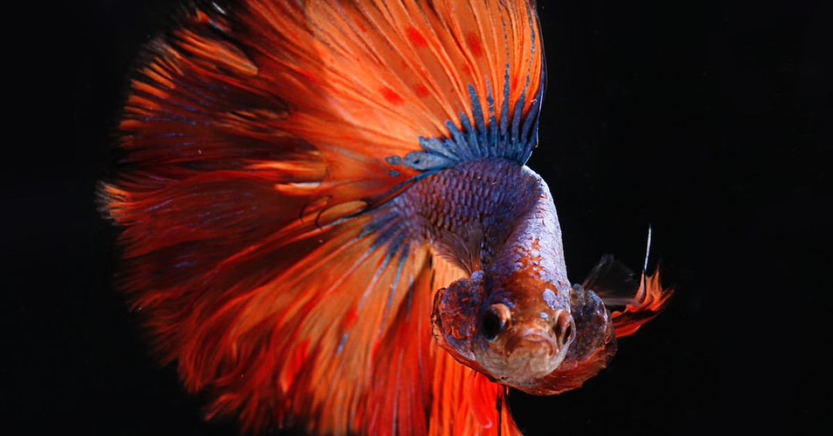 Inspirational life quotes for personal growth and motivation.