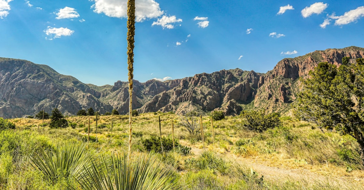 Inspirational Texas quotes poster with Lone Star emblem.