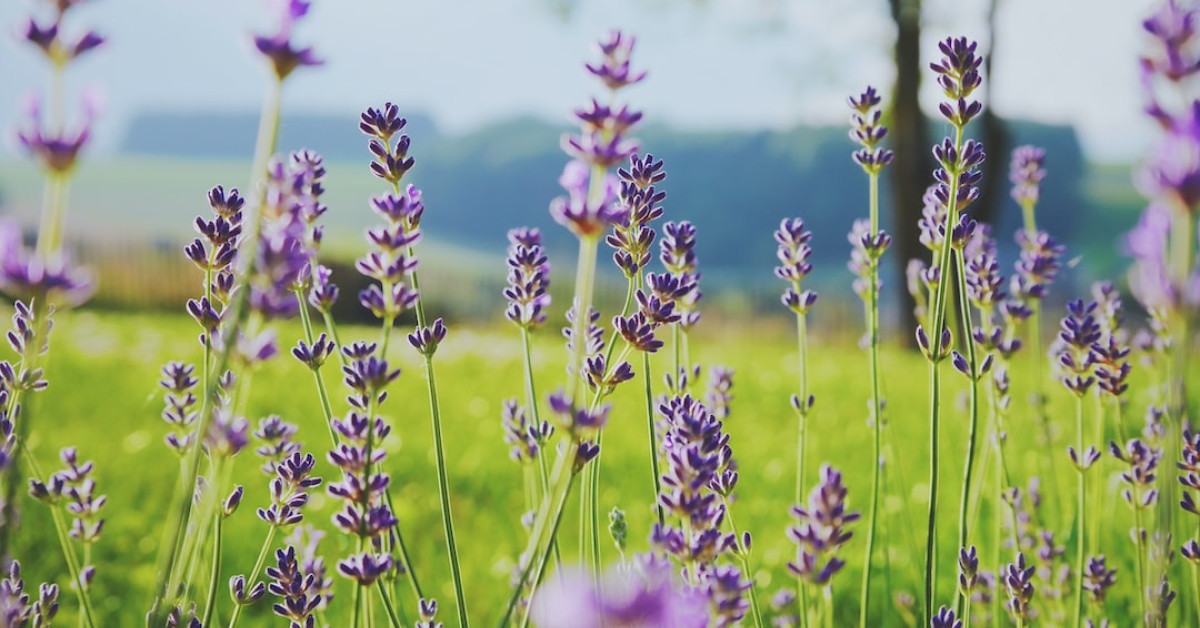 Emily Jendrisak posing, Gavin McInnes's wife.