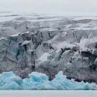 Guide to Nitro Cold Brew Caffeine Boost Guide to Nitro Cold Brew Caffeine Boost