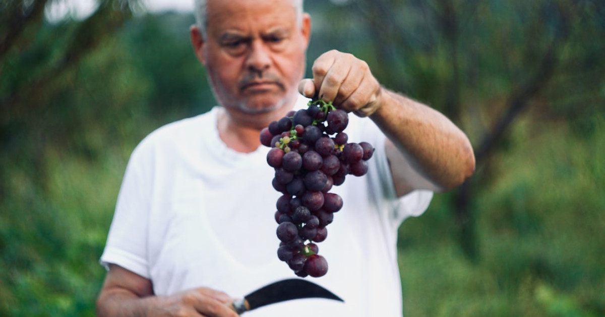 Delicious Half Baked Harvest Salmon Bowl Meal