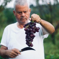 Delicious Half Baked Harvest Salmon Bowl Meal Delicious Half Baked Harvest Salmon Bowl Meal