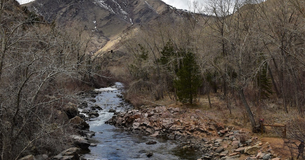 Golden 1 Center seat map and fan experience guide.