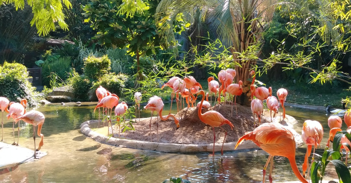 Columbia hiking pants for women on scenic mountain trail.