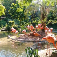 Columbia hiking pants for women on scenic mountain trail. Columbia hiking pants for women on scenic mountain trail.