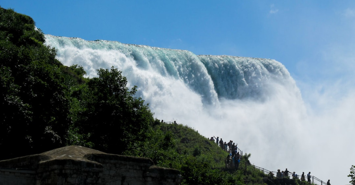 Freezing Buffalo Chicken Dip Guide Illustration