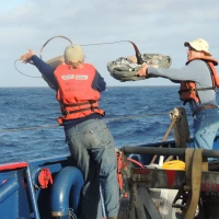 Ulta dumpster diving adventure for hidden cosmetic treasures. Ulta dumpster diving adventure for hidden cosmetic treasures.