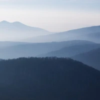 Analysis chart of Anticipated Anthropic's IPO in AI Market Analysis chart of Anticipated Anthropic's IPO in AI Market