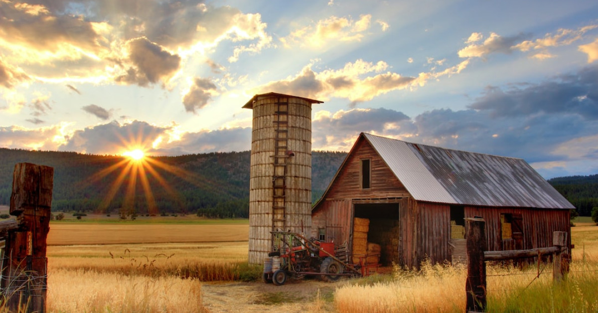 Image: Embrace the wholesome goodness of farm-fresh organic produce.