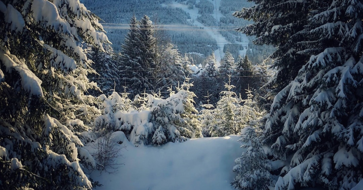 FGO 6th Anniversary Guide Cover with Festive Graphics