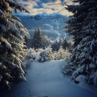 FGO 6th Anniversary Guide Cover with Festive Graphics FGO 6th Anniversary Guide Cover with Festive Graphics