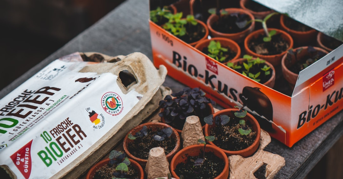 Benefits of Organic Farm-to-Table Dining: Soil to Plate Explained