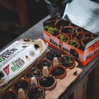 Benefits of Organic Farm-to-Table Dining: Soil to Plate Explained Benefits of Organic Farm-to-Table Dining: Soil to Plate Explained