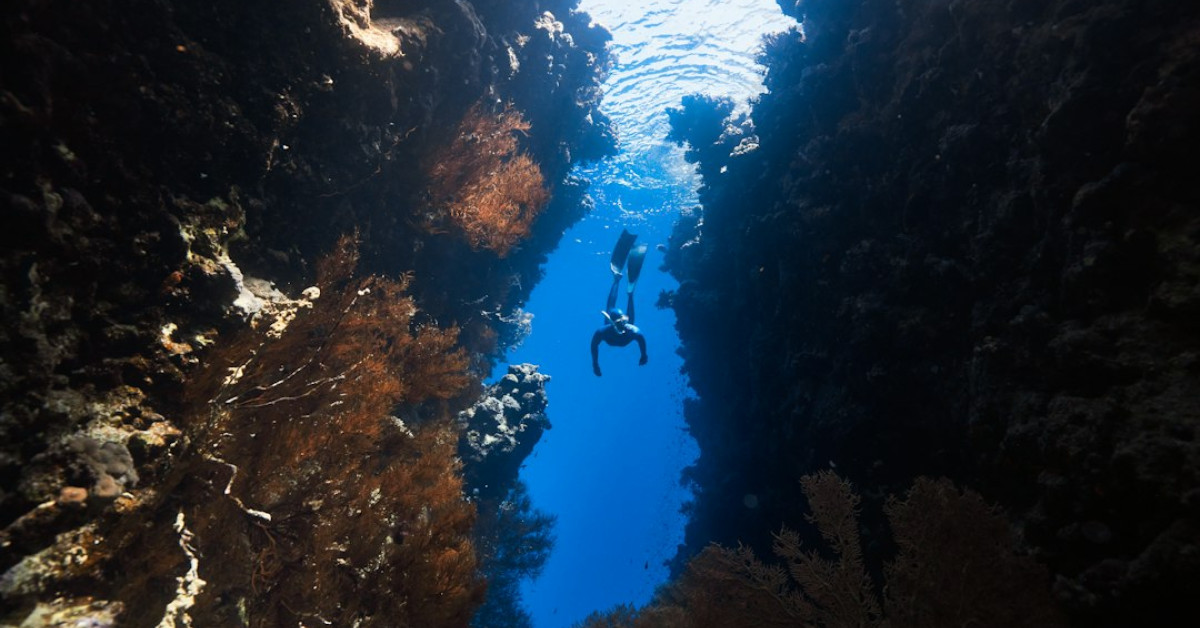 Scuba diving nutrition guide cover image