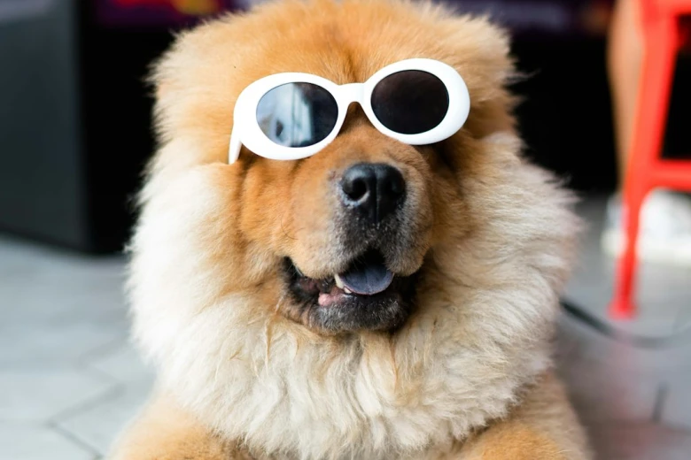 Funny Proud of You Messages for Landing A Job 150+ Best Proud of You Messages to Uplift and Inspire Your Loved Ones