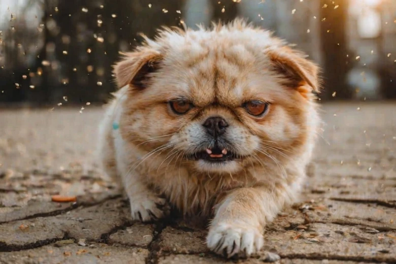 Funny Wednesday Captions for Instagram 280+ Hot Instagram Caption for Wednesday to Ignite Your Feed