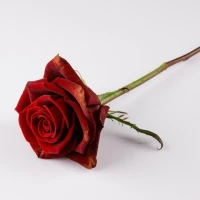 Genshin Impact Anniversary Event Guide and Celebrations Genshin Impact Anniversary Event Guide and Celebrations