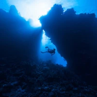 Explore 25 international cuisines with Globetrotting Gourmet's flavors. Explore 25 international cuisines with Globetrotting Gourmet's flavors.