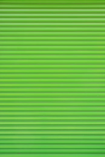 Green Heron 10 Egrets and Herons Found in North America: Discover Majestic Birdlife