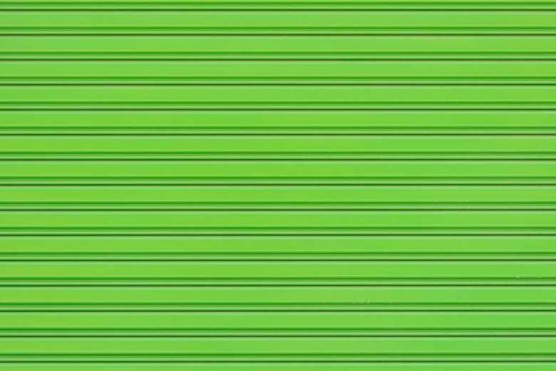 Green Heron 10 Egrets and Herons Found in North America: Discover Majestic Birdlife