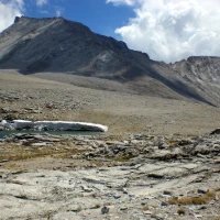 Ground turkey egg roll bowl with fresh vegetables. Ground turkey egg roll bowl with fresh vegetables.