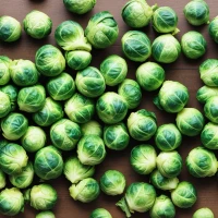 Brussels sprouts with companion plants for a healthy garden. Brussels sprouts with companion plants for a healthy garden.