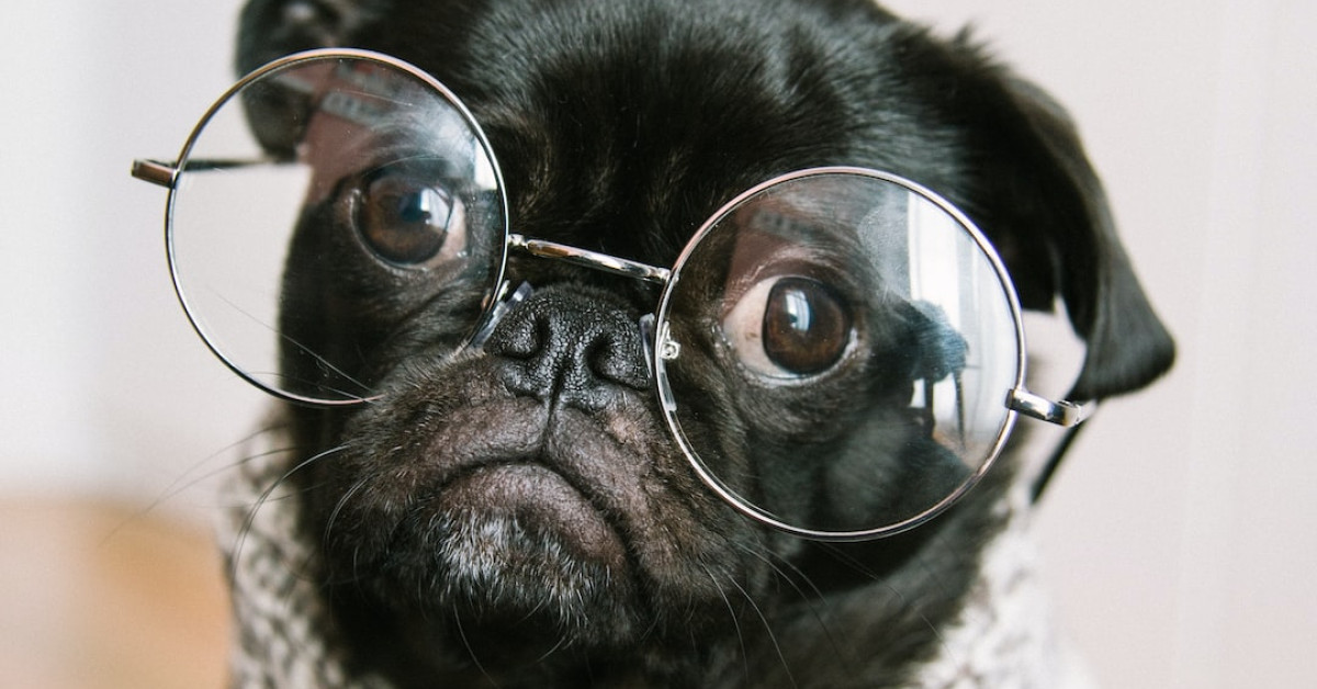 Top 30 humorous quotes for a joyful mood boost.