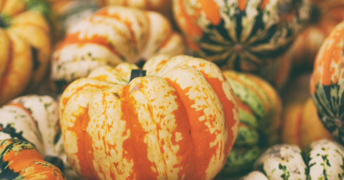 Honeynut Squash Recipes Collage