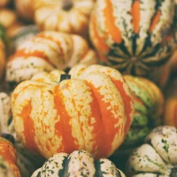 Honeynut Squash Recipes Collage Honeynut Squash Recipes Collage