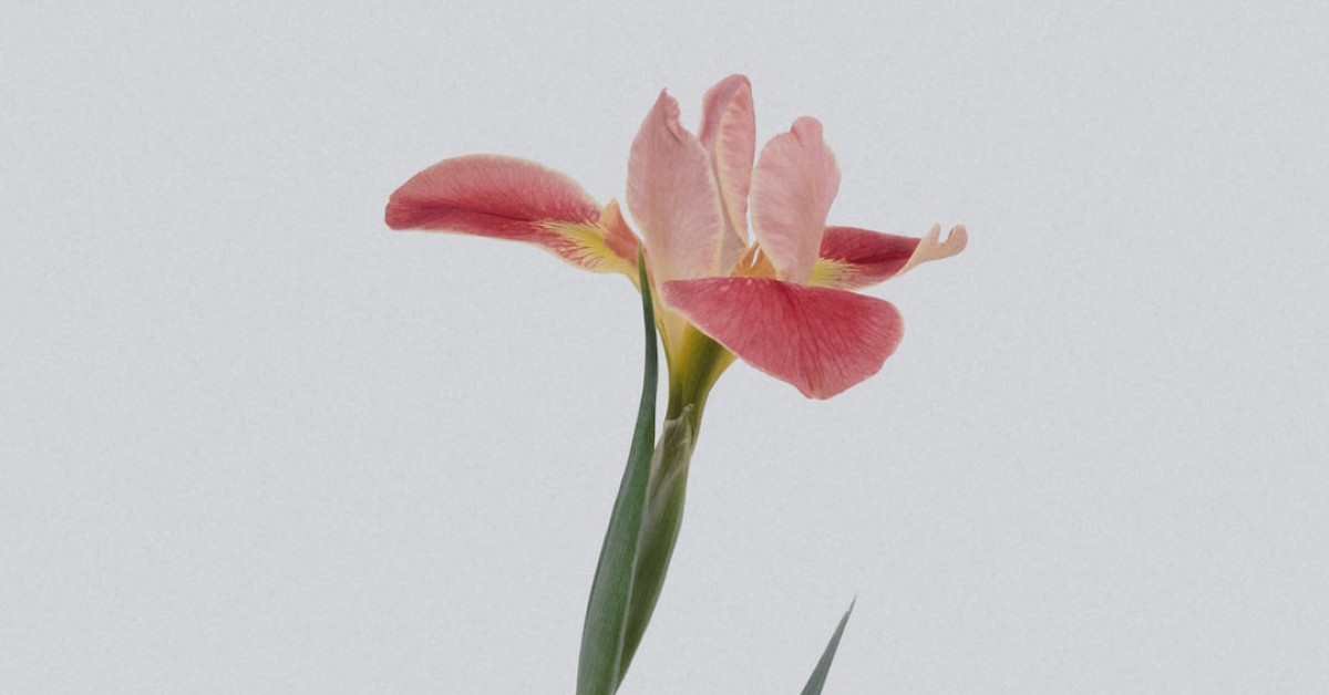 Minecraft guide for crafting flower pots illustration.