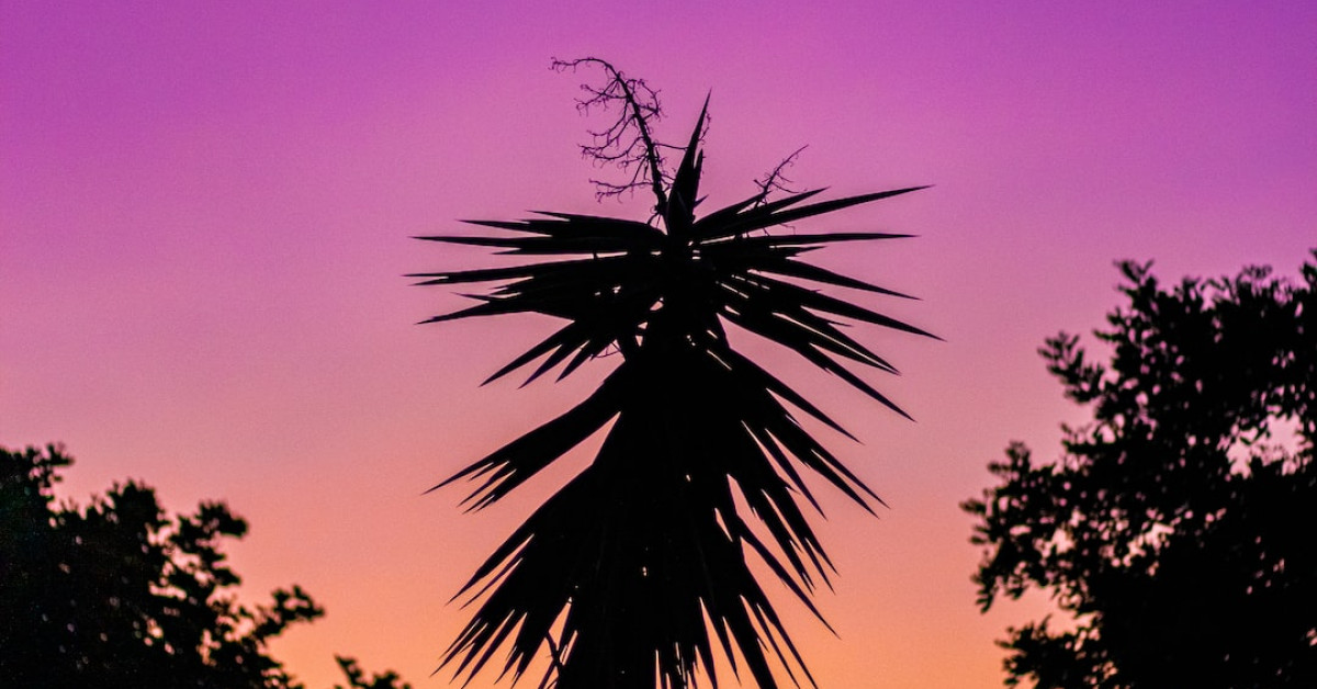 Royal dinner table with purple and gold elegant recipes.
