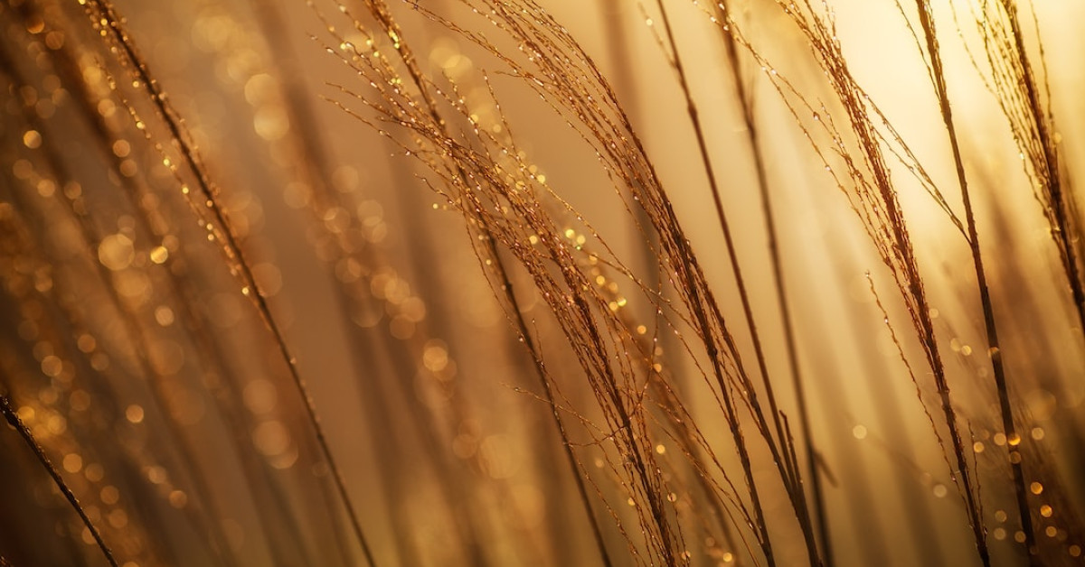 Whole wheat naan bread on wooden surface, healthy flatbread.