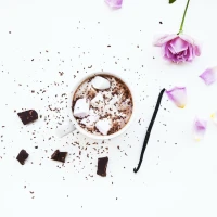 Delicious Vanilla Greek Yogurt in a Bowl Delicious Vanilla Greek Yogurt in a Bowl