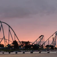 Maple-glazed carrots on plate for healthy sweet treat. Maple-glazed carrots on plate for healthy sweet treat.