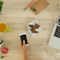 Vegan chocolate chip cookie dough with fresh vegetable garnish. Vegan chocolate chip cookie dough with fresh vegetable garnish.