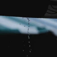 Vegetable-infused buttermilk biscuit recipes on a kitchen counter. Vegetable-infused buttermilk biscuit recipes on a kitchen counter.