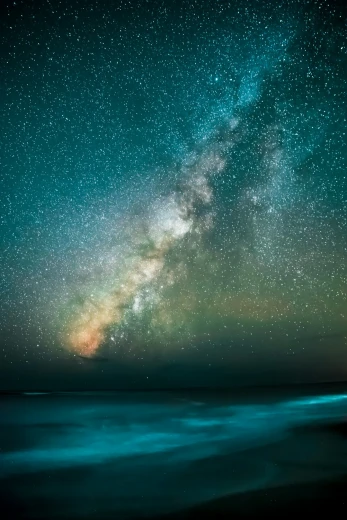 Insanely Fun Night Out Captions 100+ Memorable Night Out Captions for Instagram That Shine