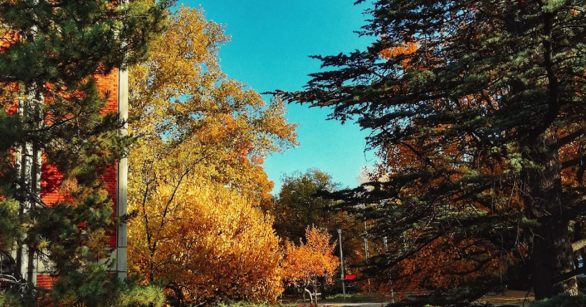 Image of Erika Cosby, Bill Cosby's eldest child, investigation insights.