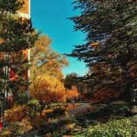 Image of Erika Cosby, Bill Cosby's eldest child, investigation insights. Image of Erika Cosby, Bill Cosby's eldest child, investigation insights.