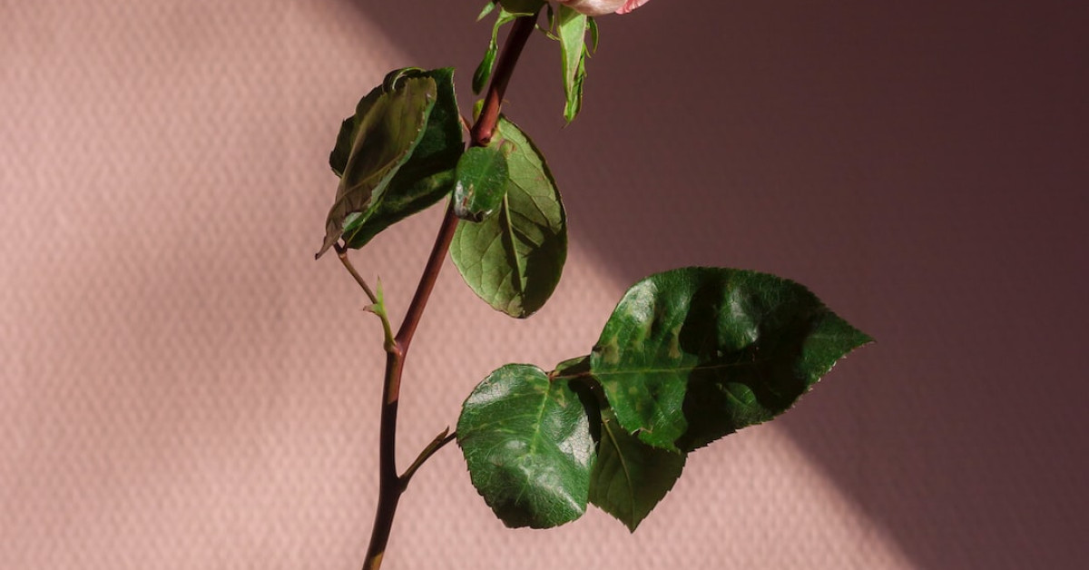 Benjamin Beatty: Discover facts about Warren Beatty's actor son