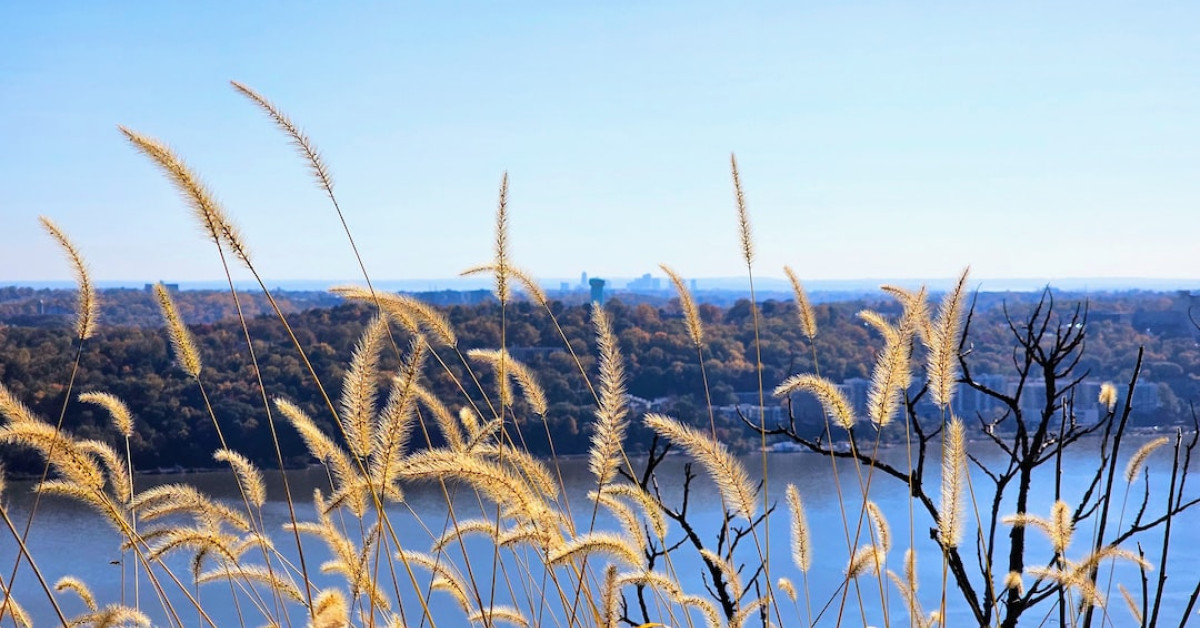 New Jersey Dumpster Diving Legality Explained