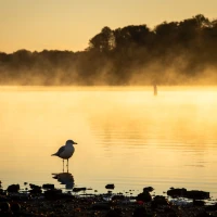 Exploring the legality of dumpster diving in Ohio. Exploring the legality of dumpster diving in Ohio.