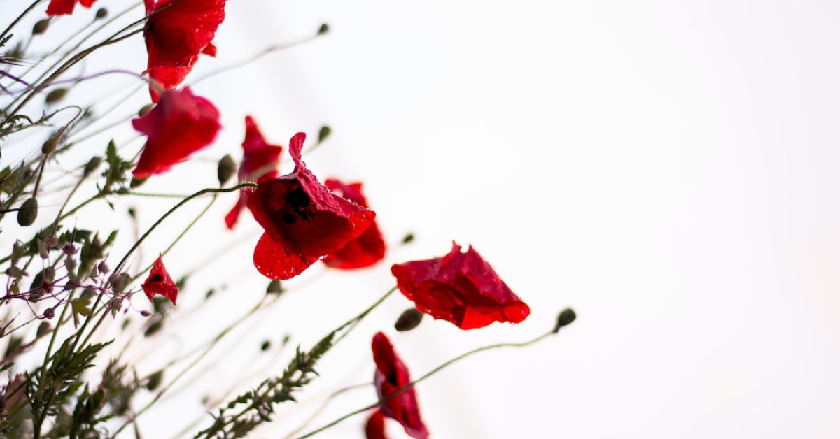 Lemon Poppy Seed Muffins on Wooden Board