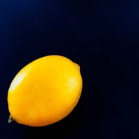 Lemon poppy seed muffins on plate for brunch. Lemon poppy seed muffins on plate for brunch.