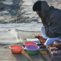 Healthy low-carb egg roll in a bowl dish. Healthy low-carb egg roll in a bowl dish.