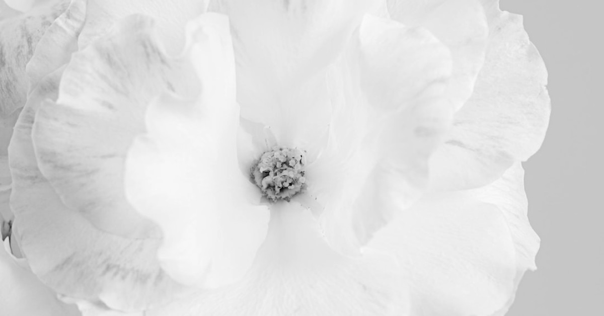 Groom's guide to black and blue wedding attire.