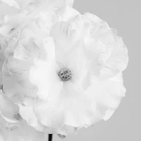 Groom's guide to black and blue wedding attire. Groom's guide to black and blue wedding attire.